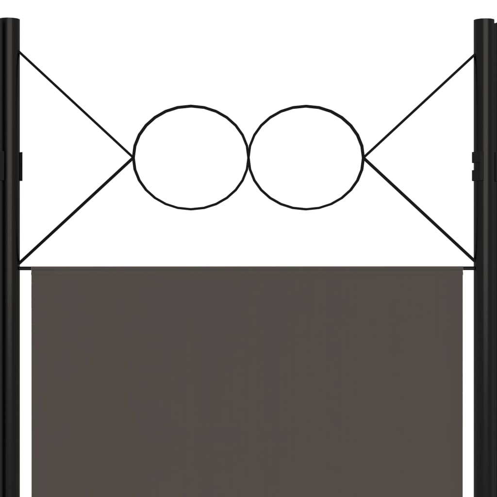 40490806