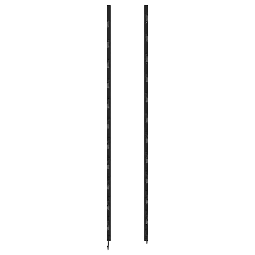 40456661