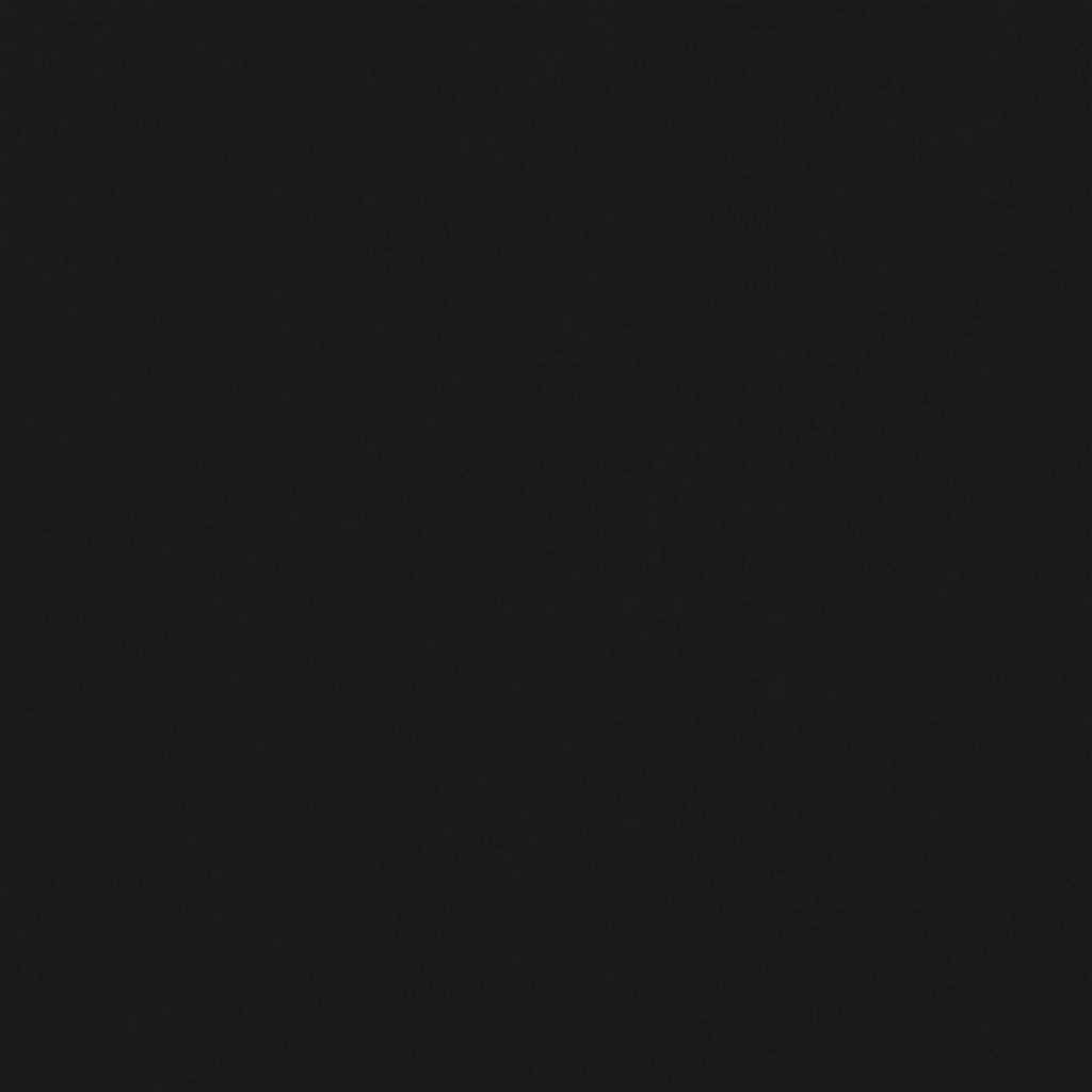 40484251