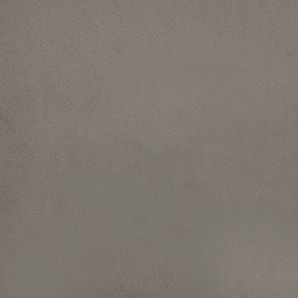 40443394