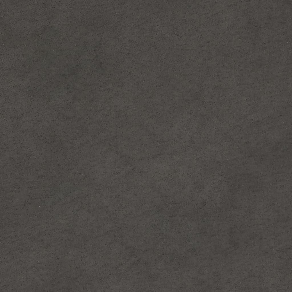 40444363