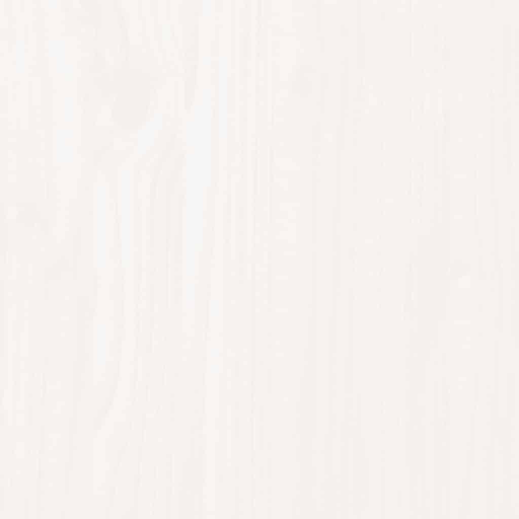 40450853
