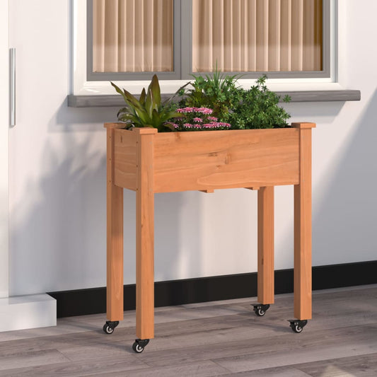 40594815
