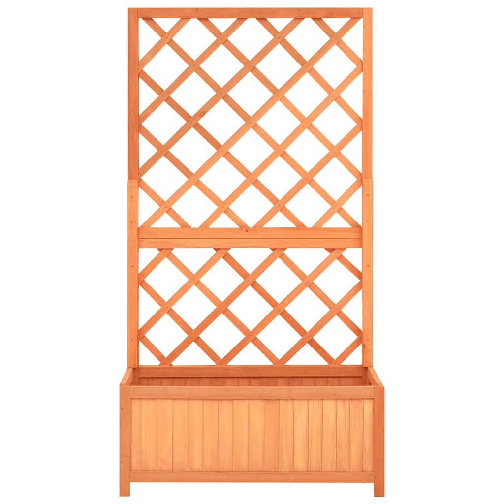40594680