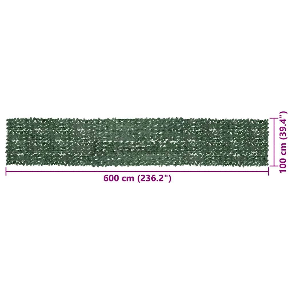 40649842