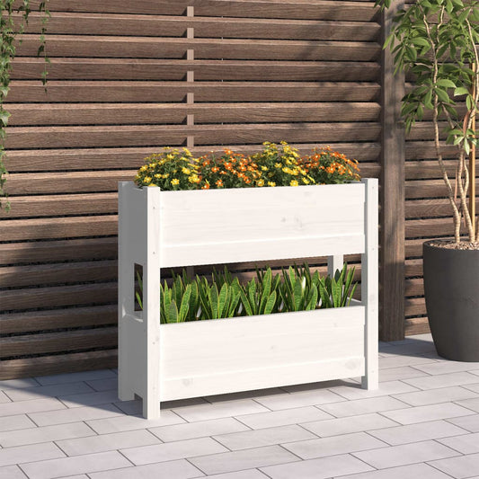 40593102