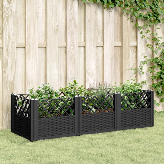 40591710