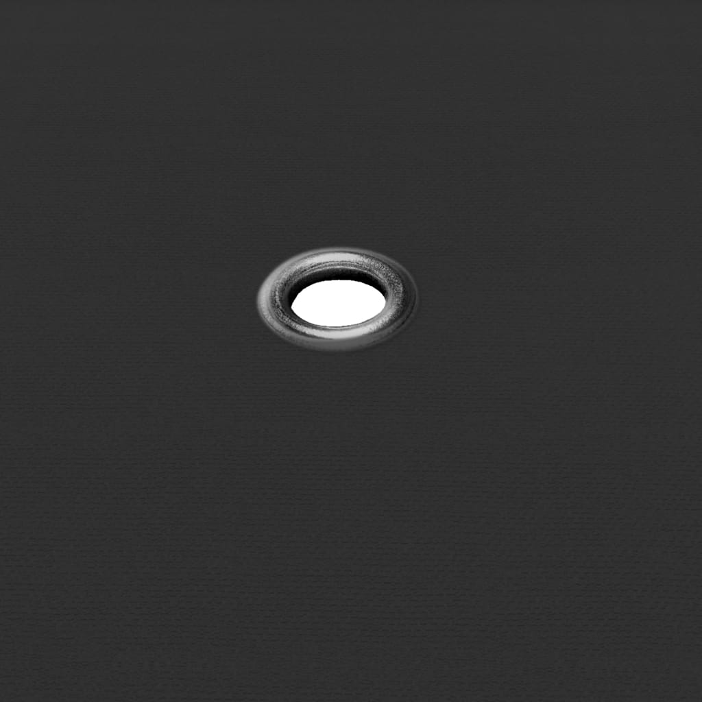 40651240