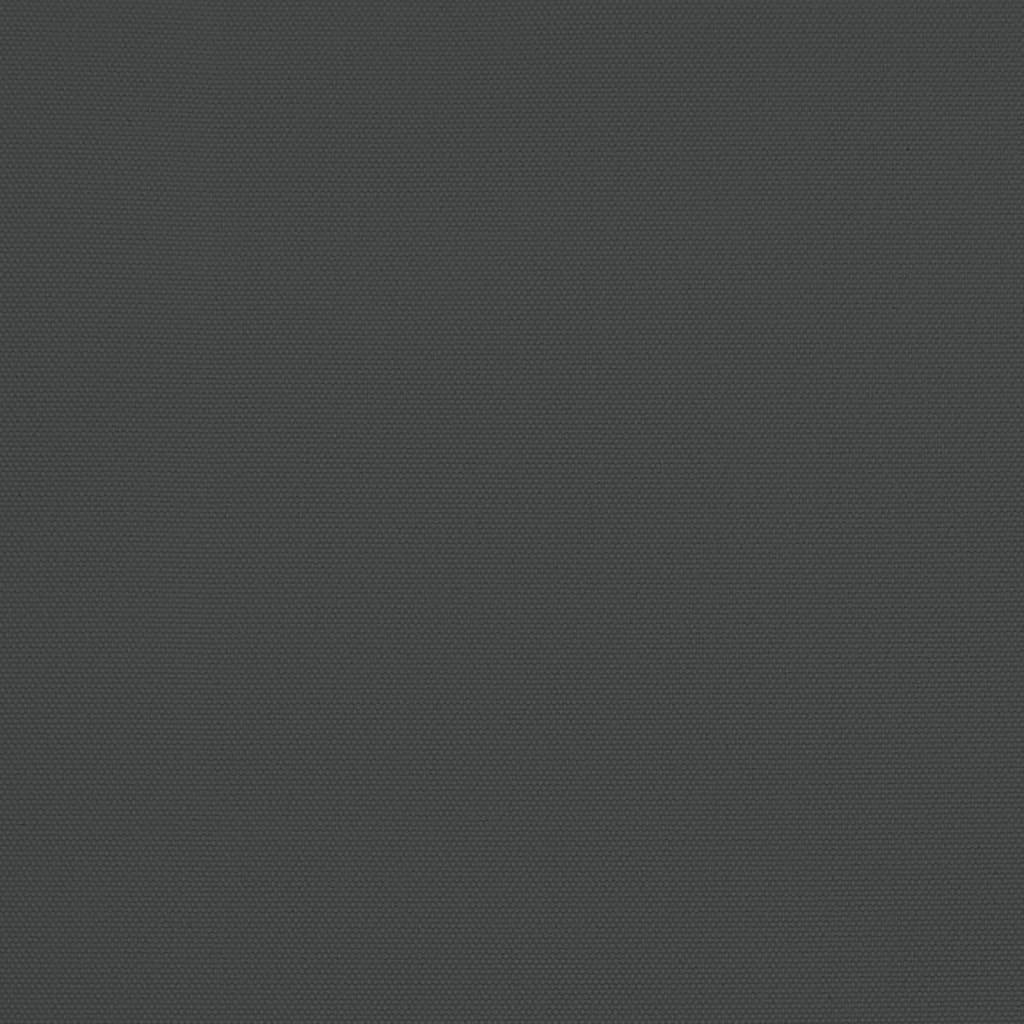 40596119