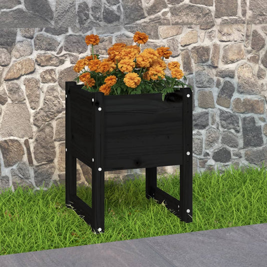 40589247