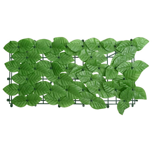 40665384
