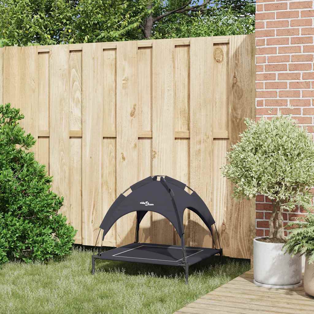 40439706