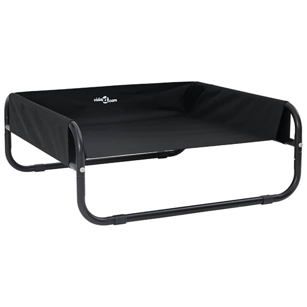 40439904