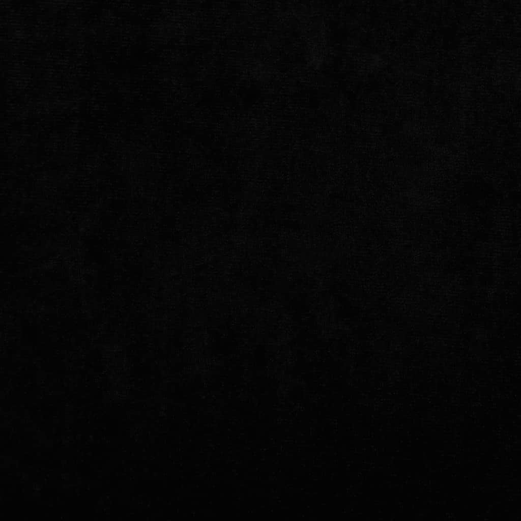 40443881