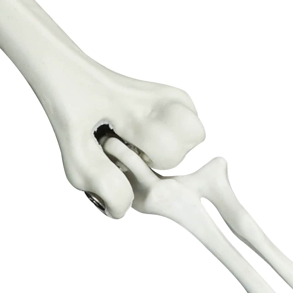 40714555
