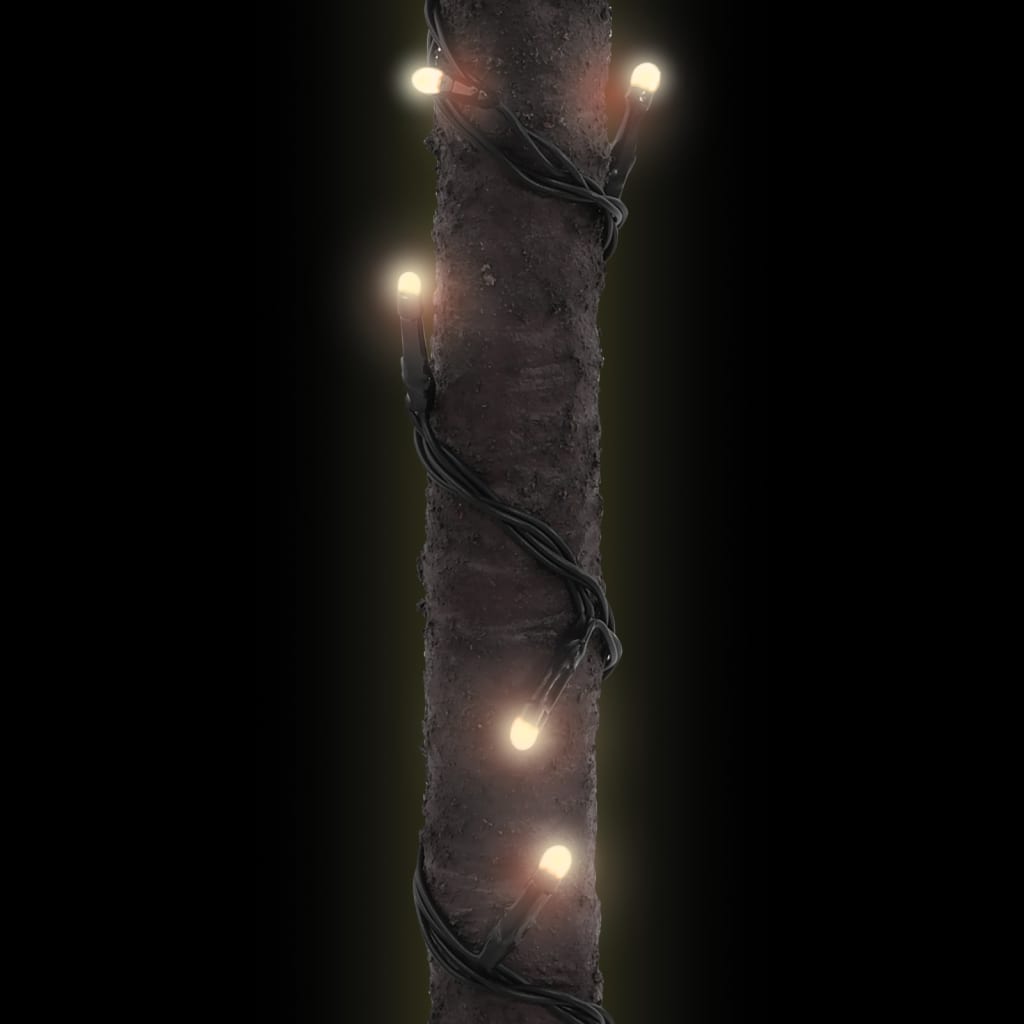 40708167