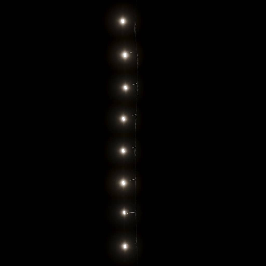 40708229