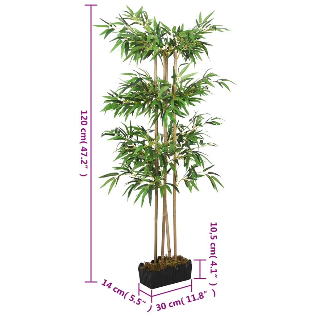 40645798