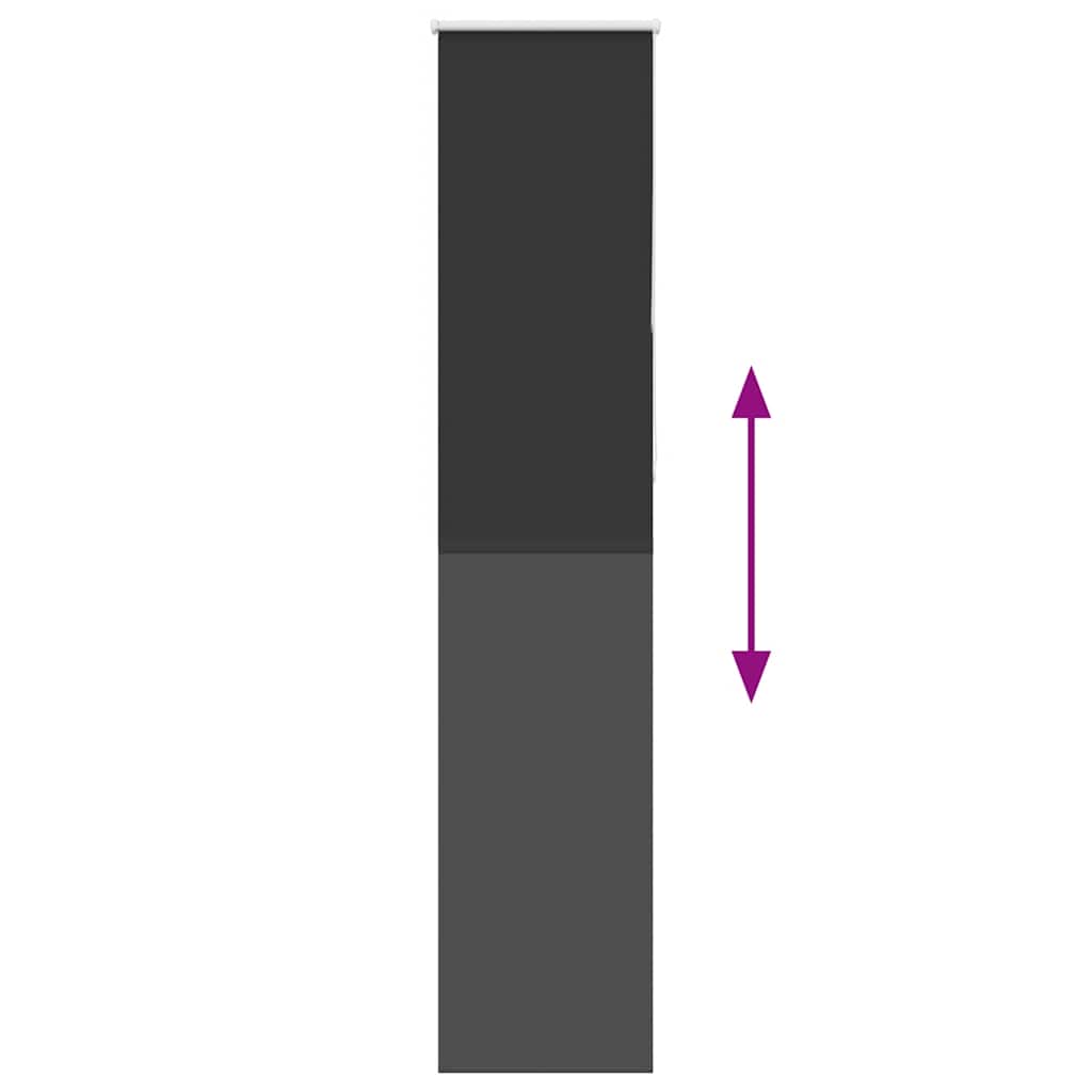 40748377