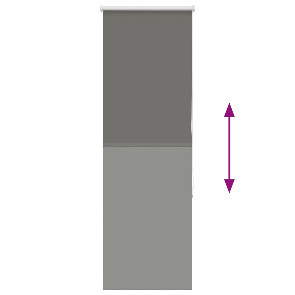 40749004