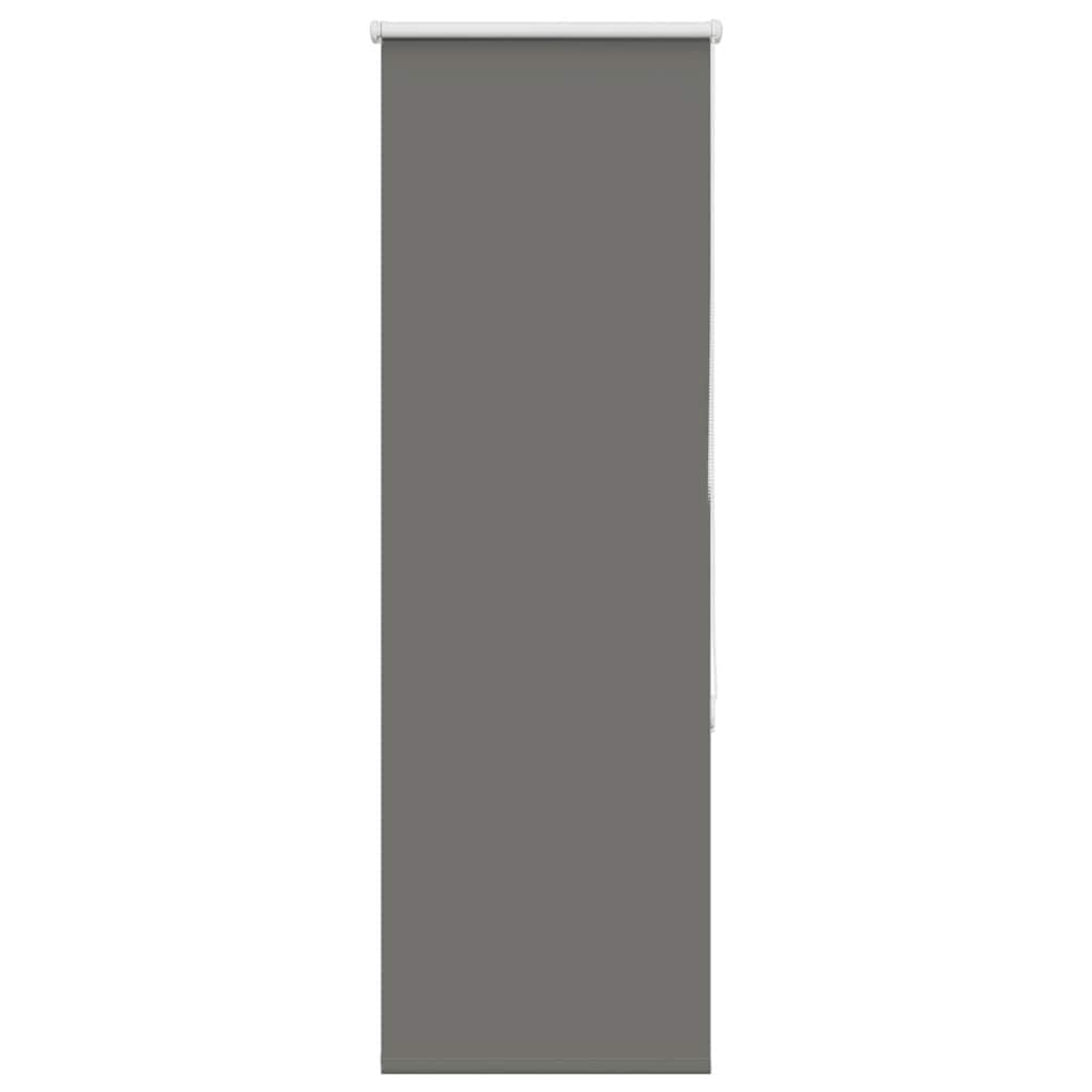 40749281