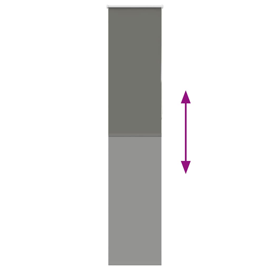40749794