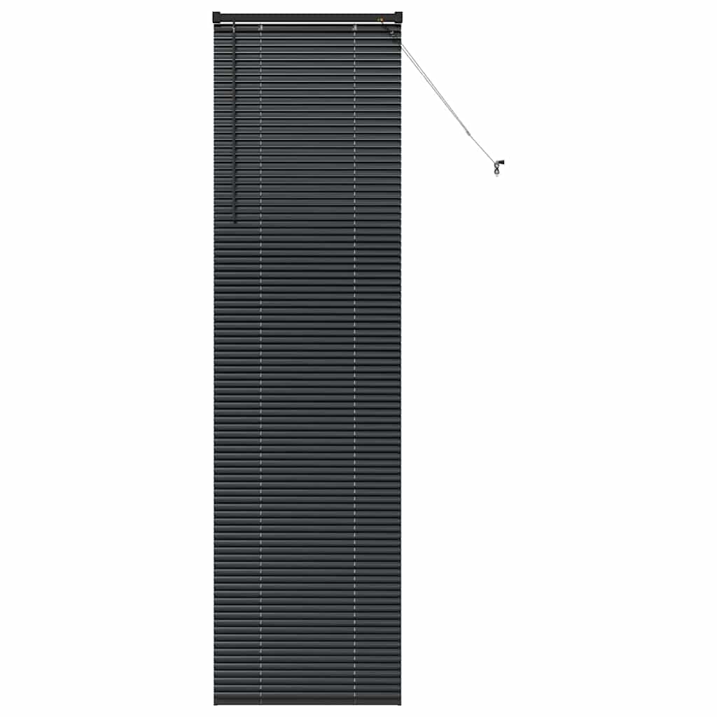 40716041