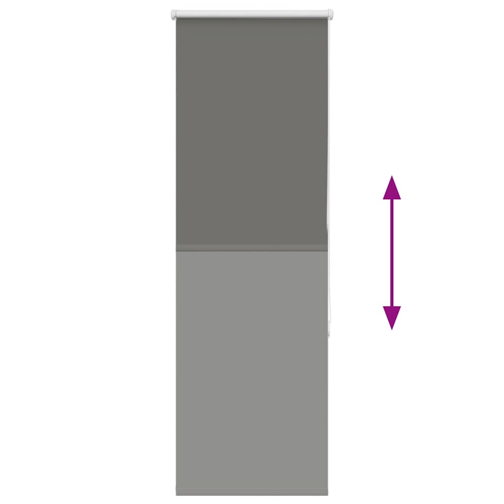40750029