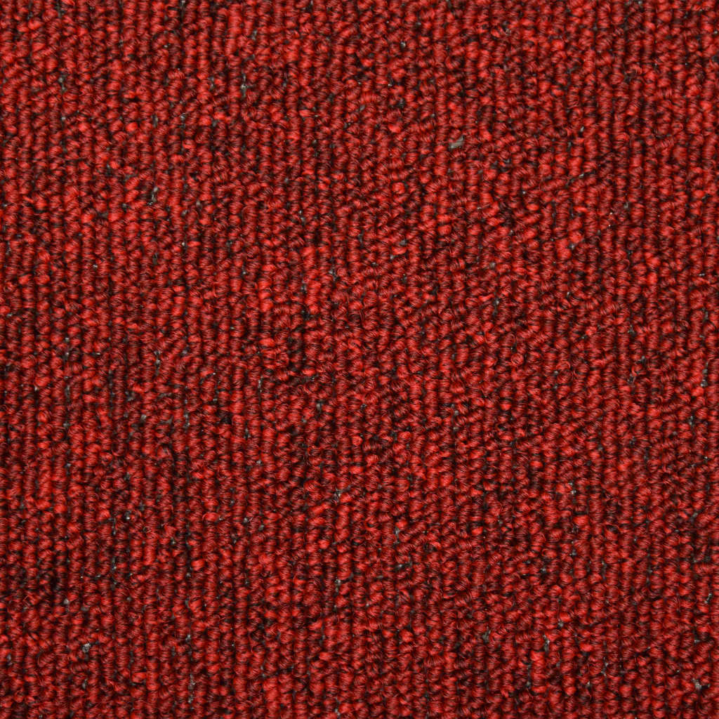 40493186
