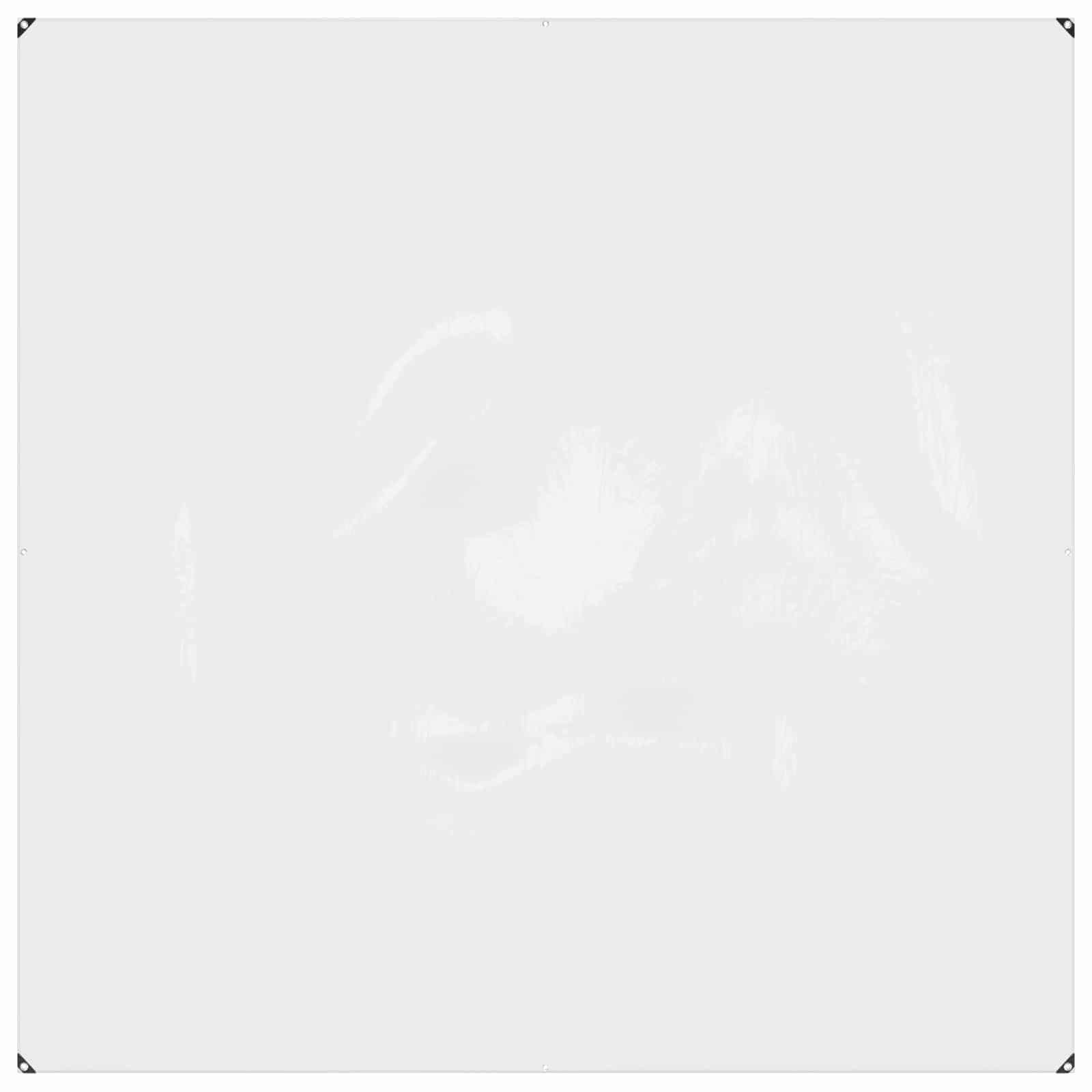 40715564
