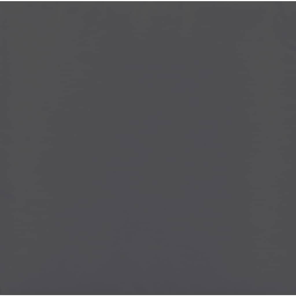 40600560