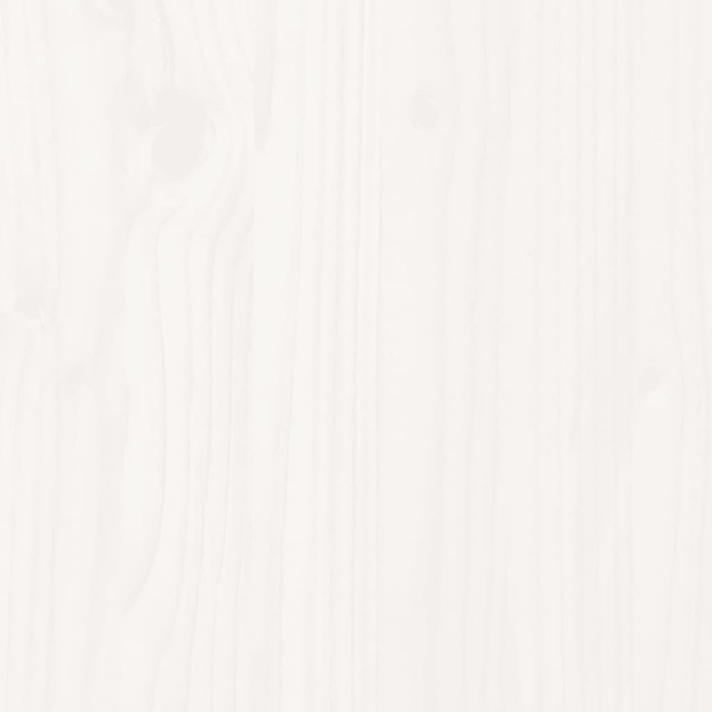 40600684