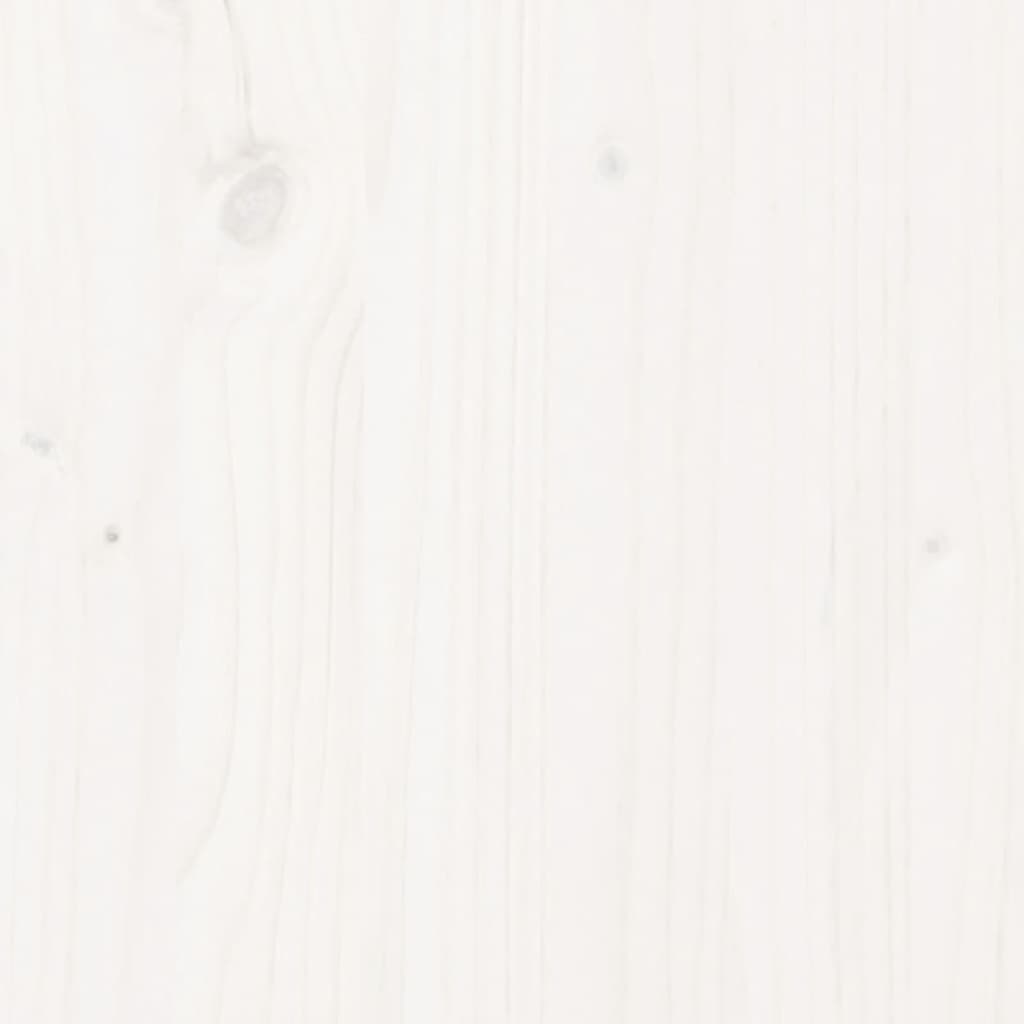 40600816